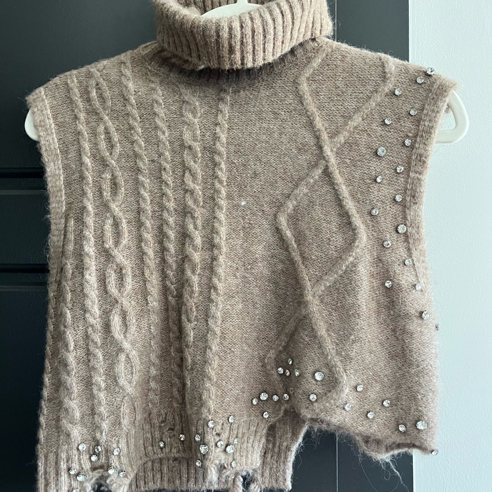 Zara Beige Embellished Turtleneck Sweater